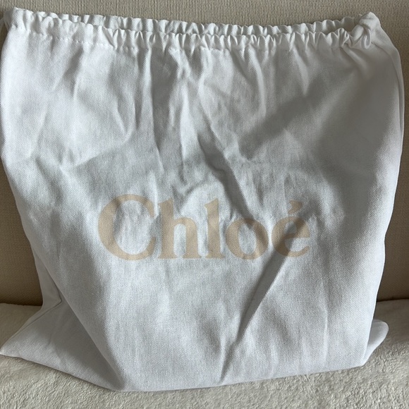 Chloe Roy Bag - Picture 16 of 16